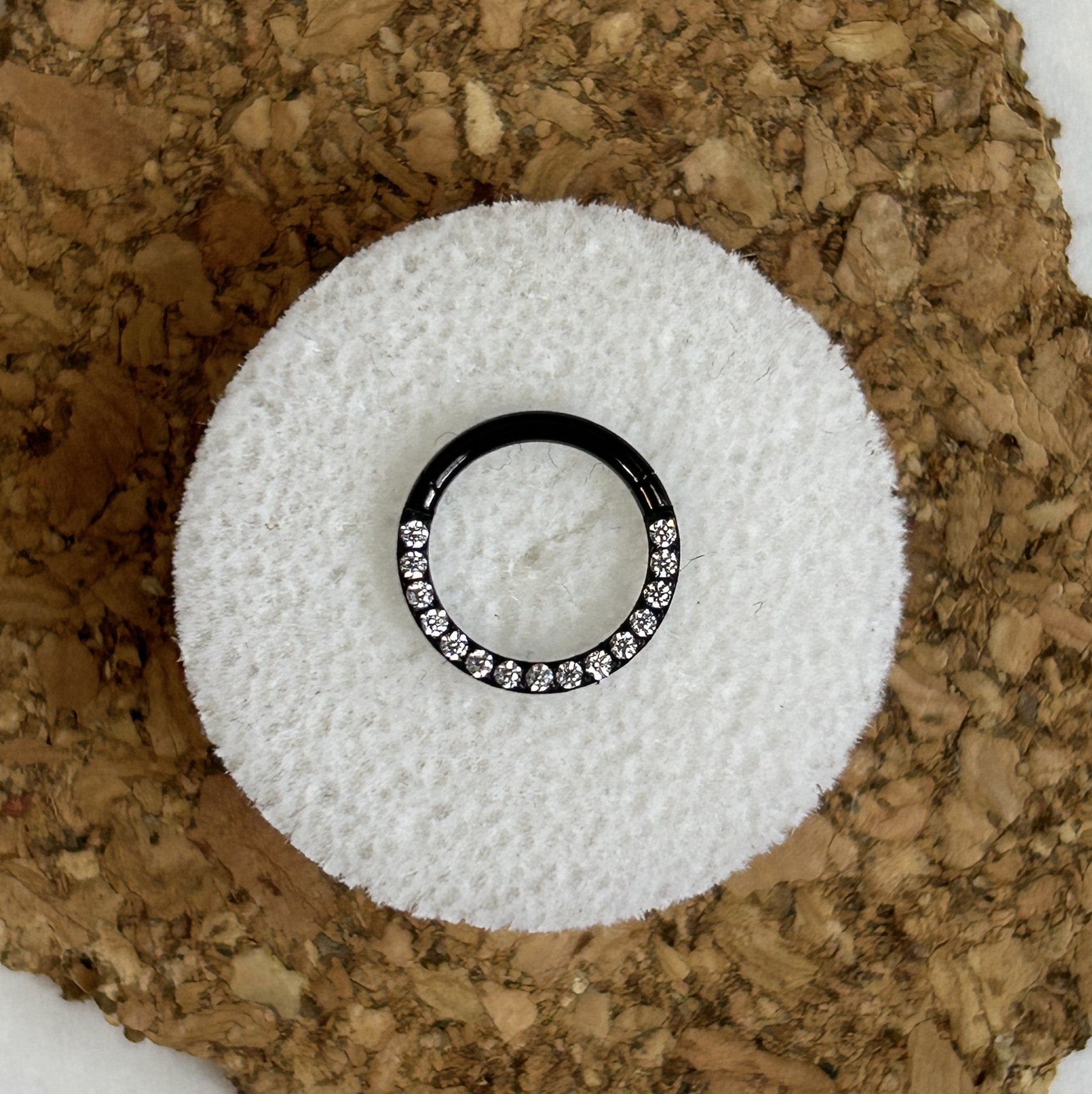Cartilage and ear jewelry