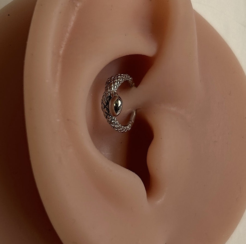 Steel snake clicker hoop