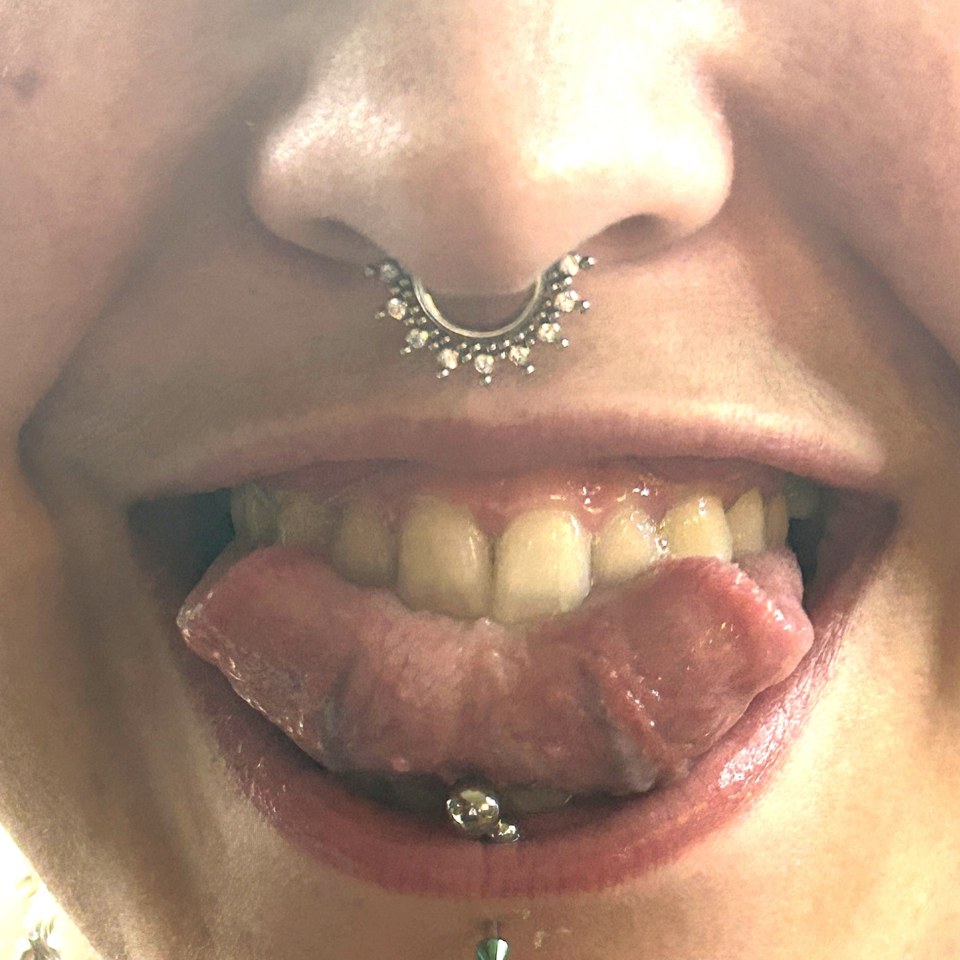 Royal Septum Clicker Ring